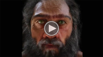 This Video About the 6 Million Years of Man's Evolution Is Possibly the Worst Propaganda You'll Ever See