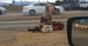 Image made from video provided by a motorist shows a California Highway Patrol officer punching a woman on the shoulder of a Los Angeles freeway. (David Diaz/AP)
