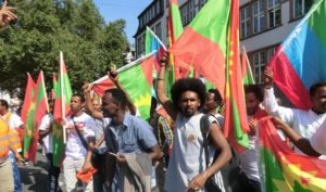 Students from the Oromo community protest in Germany