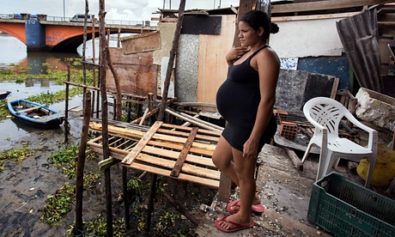 Zika Virus More Common Among the Poor in Brazil
