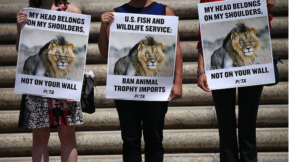 Animal Rights Activists Outraged as Game Hunters Gather in Vegas to Auction  'Prize' to Hunt, Kill African Lions, Elephants