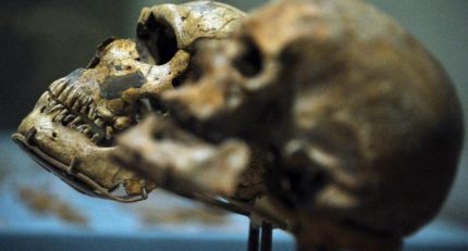 New Neanderthal DNA Changes the Migratory Timeline for the Human Species