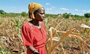 Zimbabwe-to-eperience-drought