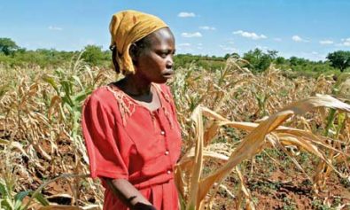 Zimbabwe Seeks $1.5B to Prevent Starvation Due toÂ  Disastrous Drought