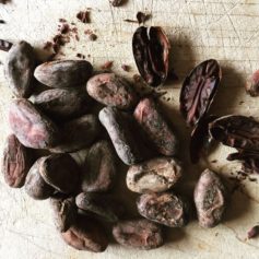 Coffee Company Supports Haiti Farmers By Importing Their Cacao, Selling Island's Coffee and Artwork