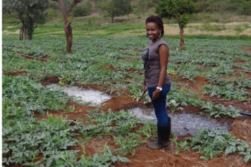 Kenyan Woman Grows Melon Business into a Million-Dollar Venture