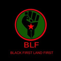 Former EFF Member Launches Black First Land First Movement to Challenge White Supremacy in South Africa