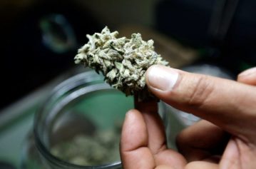 Seattle Marijuana Convictions