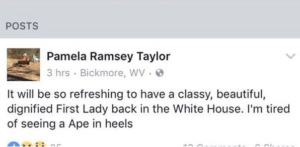 Pamela Ramsey Taylor's racist Facebook post about First Lady Michelle Obama.