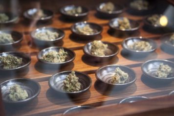 California, Florida Among States Offering Breaks to Nonwhite Marijuana Business Owners
