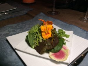 IMG_0809.JPG Salad with Edible Flowers Stush in the Bush