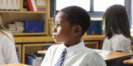 African-Americans, School Choice and the Culture of Academic Success