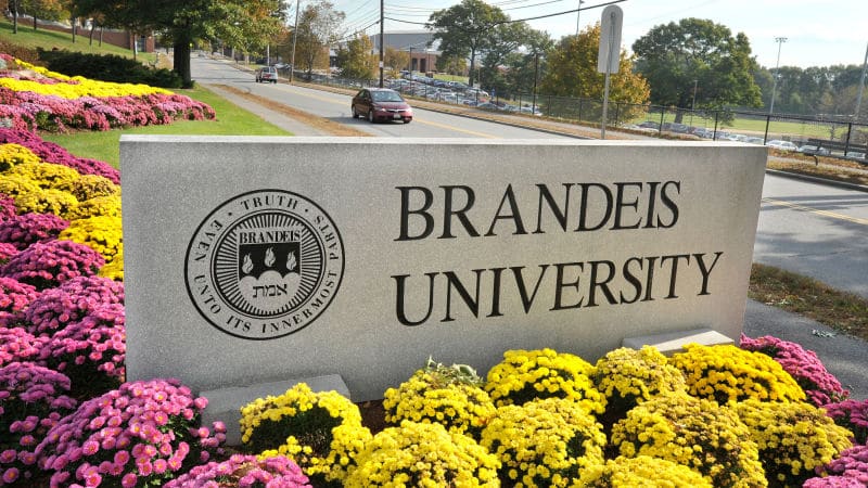 'I'll Ship You Back to Africa' Brandeis University Takes Five Years to