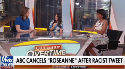 Fox News Guest Calls Roseanne's Racist Tweet 'Not Nice' But Black Co-Host Stuns Everyone with Her Reaction