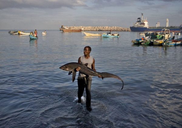 Somali Fishing Licenses China