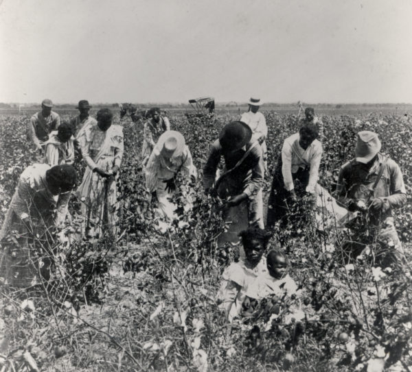 Black sharecroppers