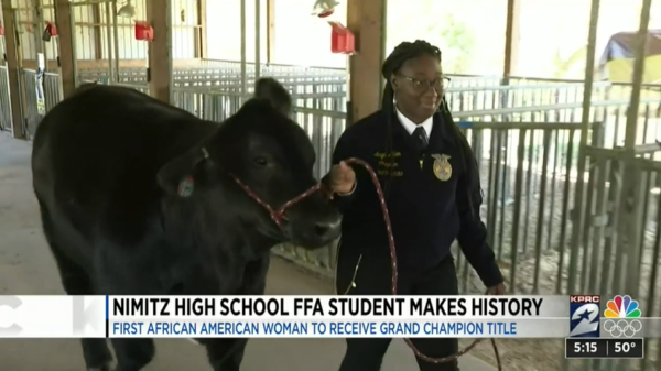 Angel Allen Wins Livestock Competition