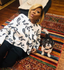 National Dog Day! La La Anthony, Patti LaBelle, Ashanti, and More Celebs Share Pix of Their Adorable Pups