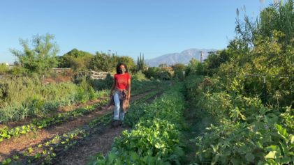 â€˜We Need to Feed Ourselves': How One Grassroots Organization is Fighting for 'Black Futures' Through Healthy Eating