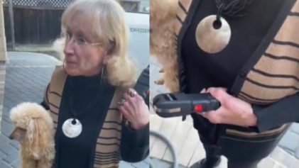 California Woman Harasses Black Family, Falsely Accuses Their Dog of Attacking Her Dog: â€˜Why Donâ€™t You Act Like a White Person In a White Neighborhoodâ€™
