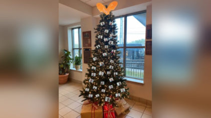 Thug Thursdays'?: Alabama Sheriffâ€™s Office Deletes Picture of Christmas Tree Filled with Mugshot Ornaments After Social Media Uproar