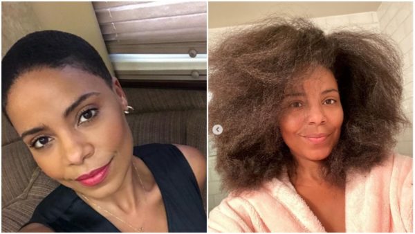 It's Crazy Thick, Healthy and Beautiful!!': Sanaa Lathan Shows Off Natural  Long Hair Three Years After Shaving her Head