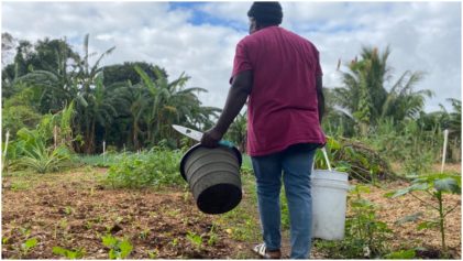 Iâ€™m Just Trying to See If I Can Make a Couple of Dollars': Black Farmers In Florida Struggle to Rebuild Months After Tropical Storm Destroys Crops