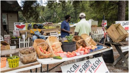 Elderly Brothers Continue Black-Owned Land Legacy of Feeding Community Through Historic Steele Farm Property