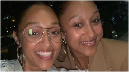 But You Have An Actual Twin': Tia Mowry Fans Laugh After She Holds TikTok Auditions for New Trend
