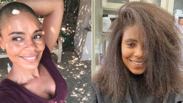 Sanaa Lathan - The - Image 4 from Best Celebrity Summer Hair to Inspire  Your New 'Do
