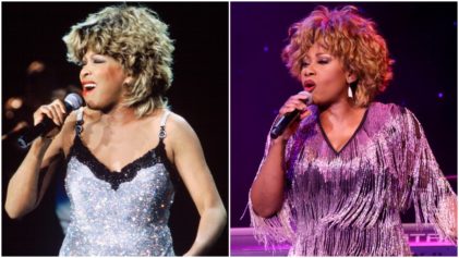 She Would Like to Be Master of Her Own Right': Tina Turner Sues Tribute Act for Uncanny Resemblance That She Says Could Mislead Fans