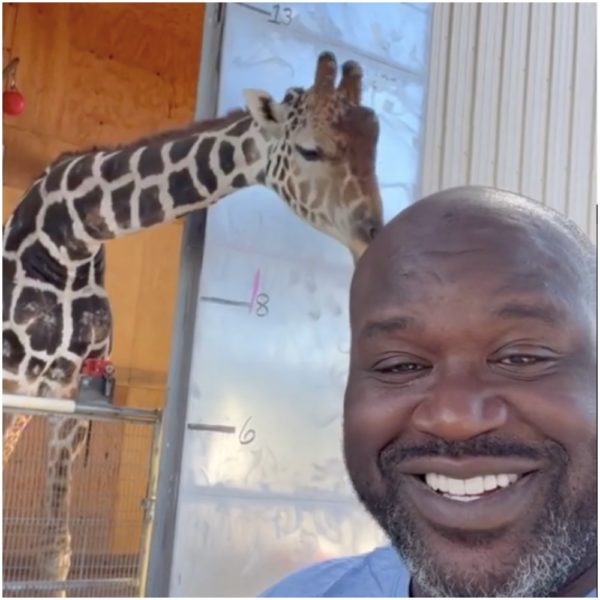 Shaquille O'Neal 