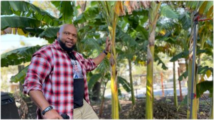 Right on Their Blockâ€™: How a Florida Urban Farmer Uses Hip-Hop Music to Promote Healthy Eating to the Community