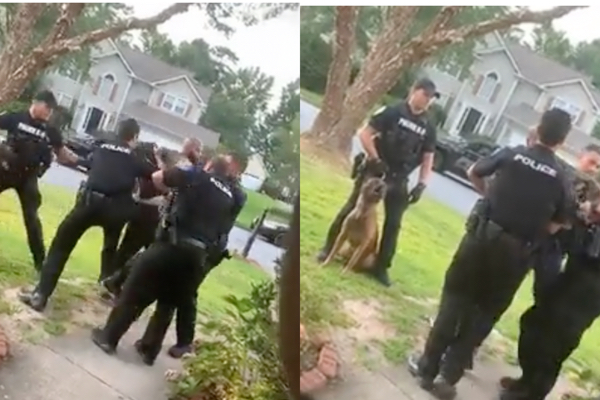 The Whole Experience Has Been Traumatic': Georgia Man to Sue After Suffering 40 Bites from K-9 In Wrongful Arrest