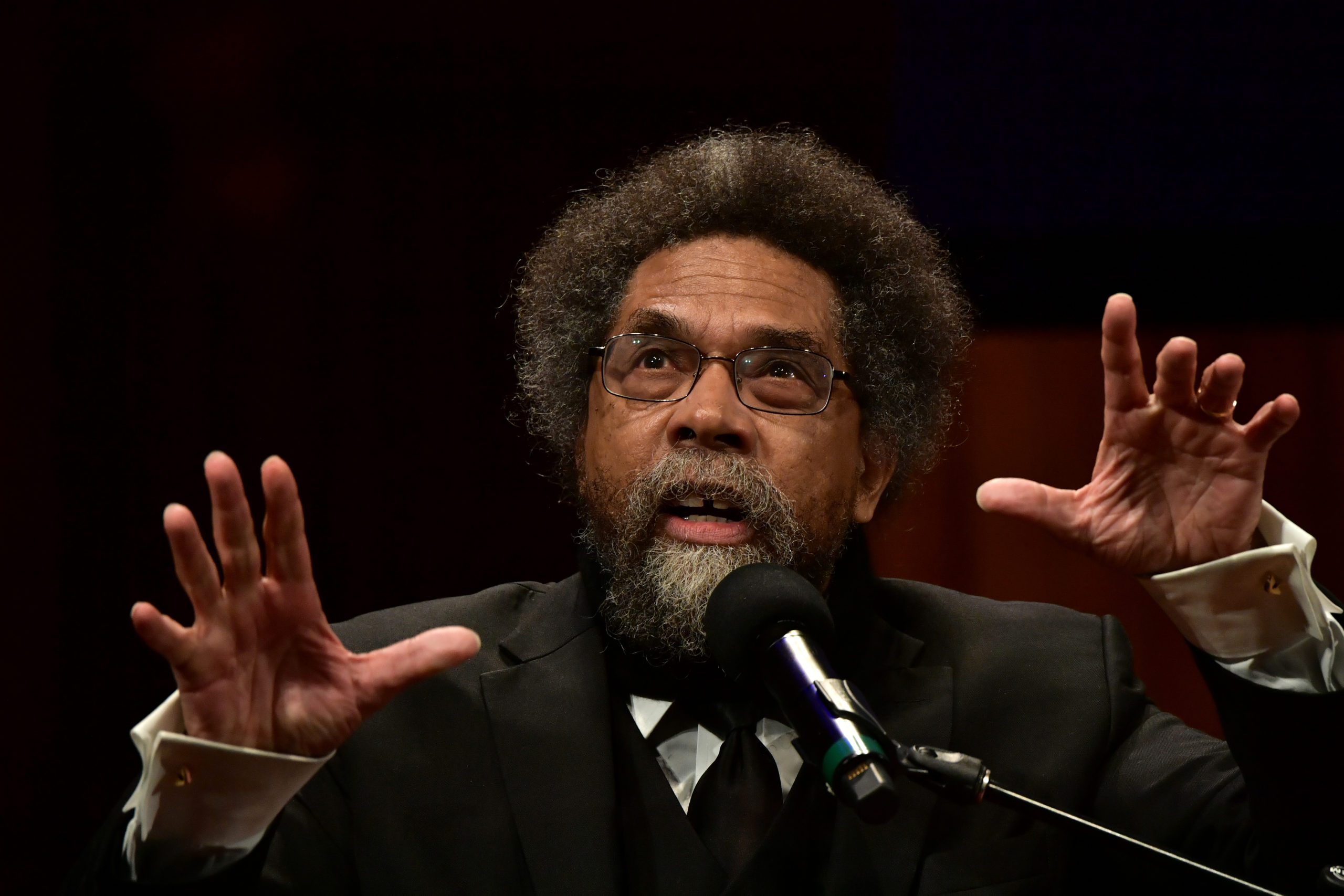 Why Some Democrats Fear Cornel West Could be a Threat to Joe Biden In the 2024 Presidential Election Why Some Democrats Fear Cornel West Could be a Threat to Joe Biden In the 2024 Presidential Election