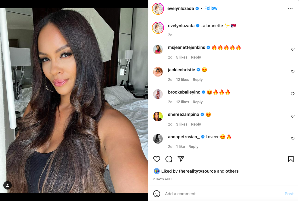 ‘You Can Pull Off Anything’: Evelyn Lozada Shows Off Her Darker Locks ...