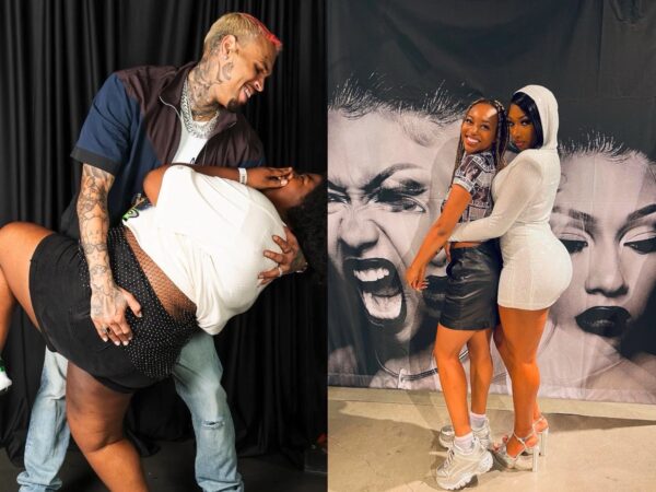 Chris Brown Did it Better': Chris Brown Reacts After His Fans Claim Megan Thee Stallion Copied Her Meet and Greet Idea from Him