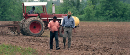 Conscious and Deliberate': Black Workers Say Mississippi Farm Imported White South Africans to Replace Them at Higher Wages for the Same Work