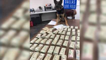Suspicious': Dallas Detectives Seize $100k from Woman at Airport Without Charging Her With a Crime
