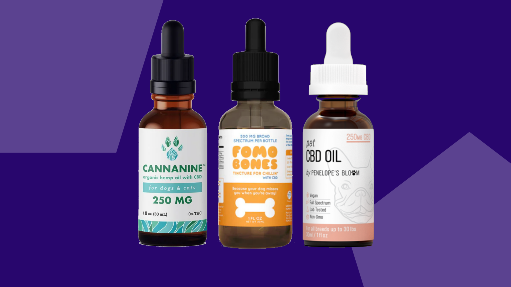 CBD Oil For Dogs: Top 10 Brands To Calm Your Pup Down