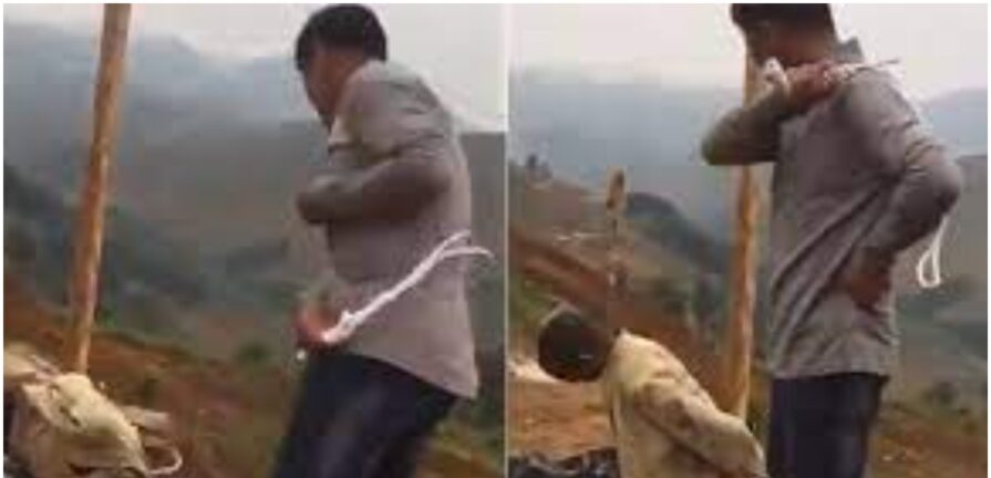 Chinese National Sentenced to 20 Years for Whipping Rwandan Workers Tied to Pole Argued Signing 'Reconciliation Letter' and Compensating Victims $1,000 Was Sufficient