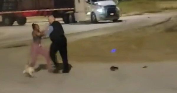 Chicago Police Officer Who Manhandled Black Woman Walking Her Dog In a Park Has Resigned, Unions Says He's Tired of the 'Scrutiny' for Just 'Doing His Job'