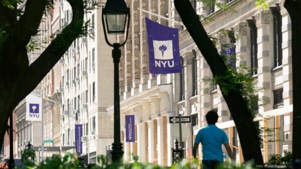 New York University