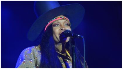 Erykah Badu fans call out 'disrespectful' social media user who called her the B-word repeatedly during online rant.