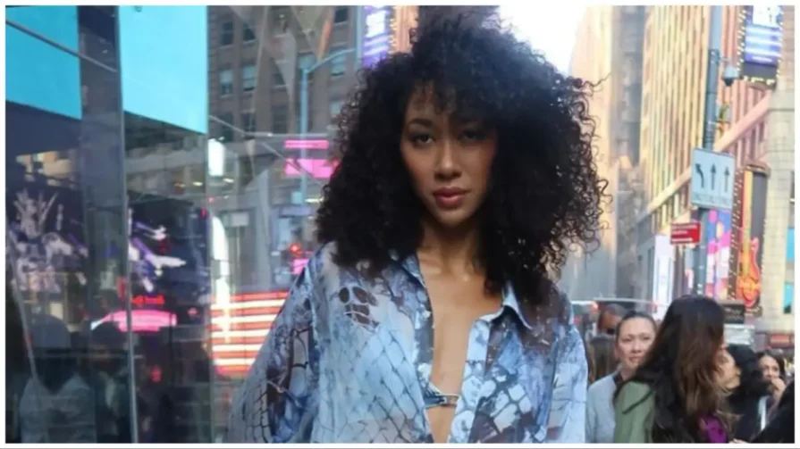 Aoki Lee Simmons is searching for a "job" after breaking up with her "sugar daddy."