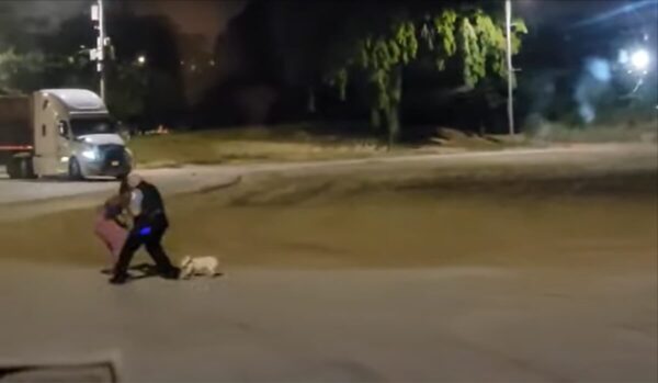 Chicago Officer Manhandles Black Woman Walking Dog