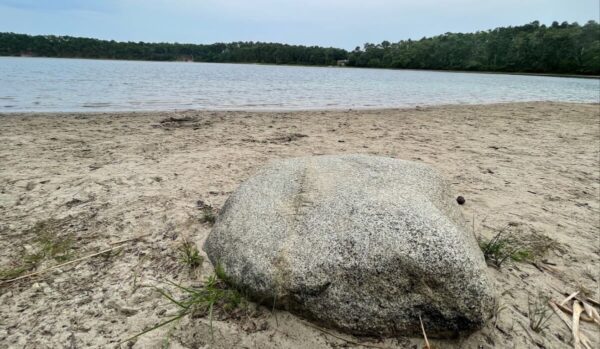 14-Year-Old White Boy Tries to Drown Black Boy in Massachusetts Pond, Taunts Him by Calling Him 'George Floyd,' Faces Attempted Murder Charge