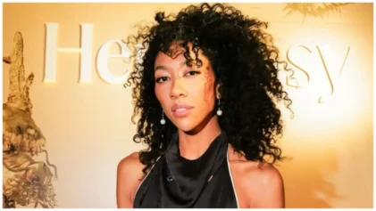 Aoki Lee Simmons turns off her IG comments following breakup with 65-year-old man.