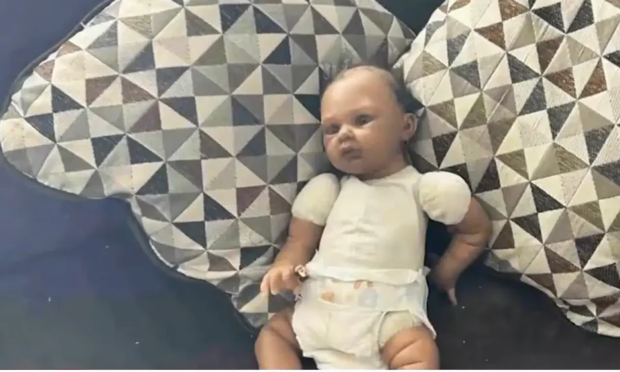 Minnesota Cops Peered Through Window at Doll on Couch, Falsely Claimed It Was Real Baby to Justify Illegally Breaking Into Black Family's Home, Lawsuit Alleges