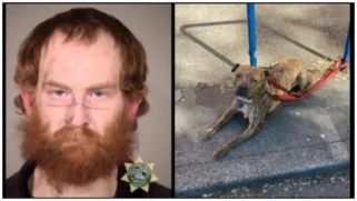 Portland man orders dog to attack black man